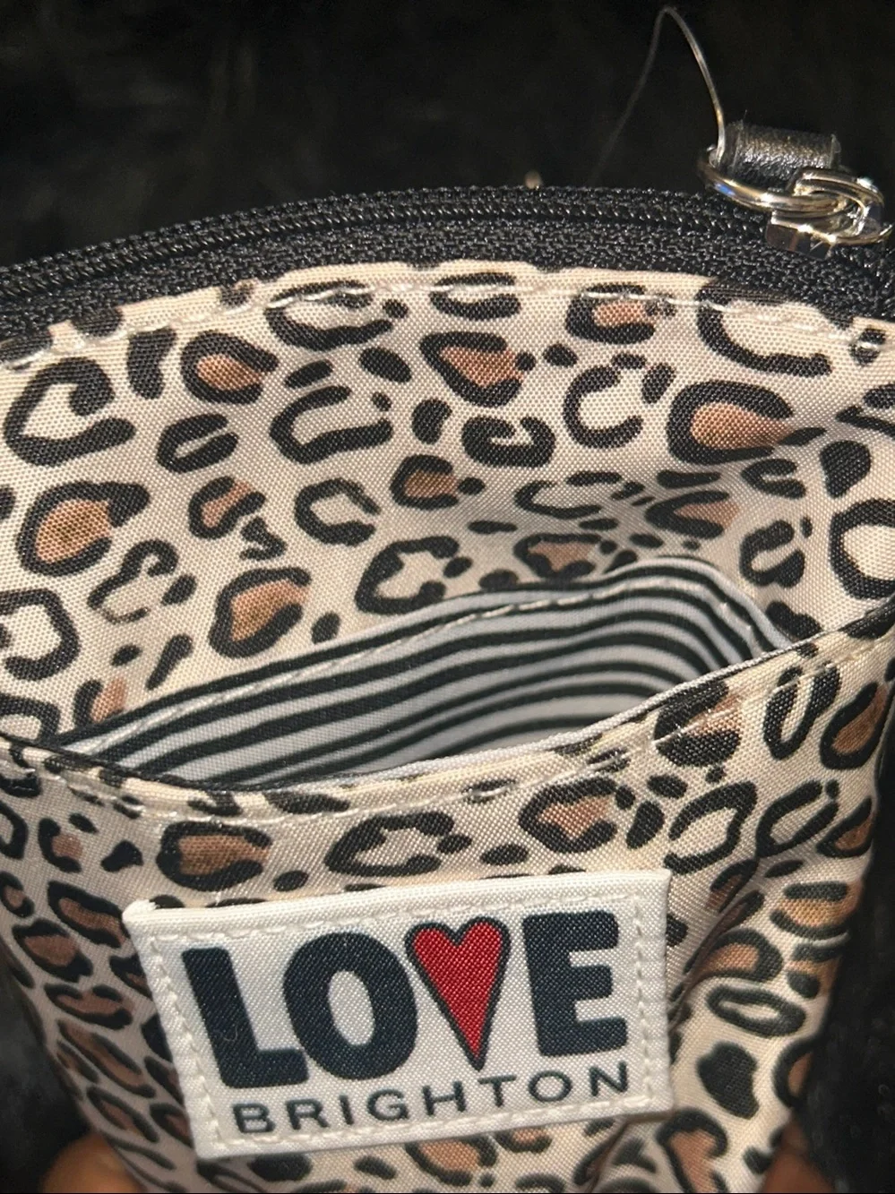 NWTS Brighton Wild Cat Leopard Sunglass Case.